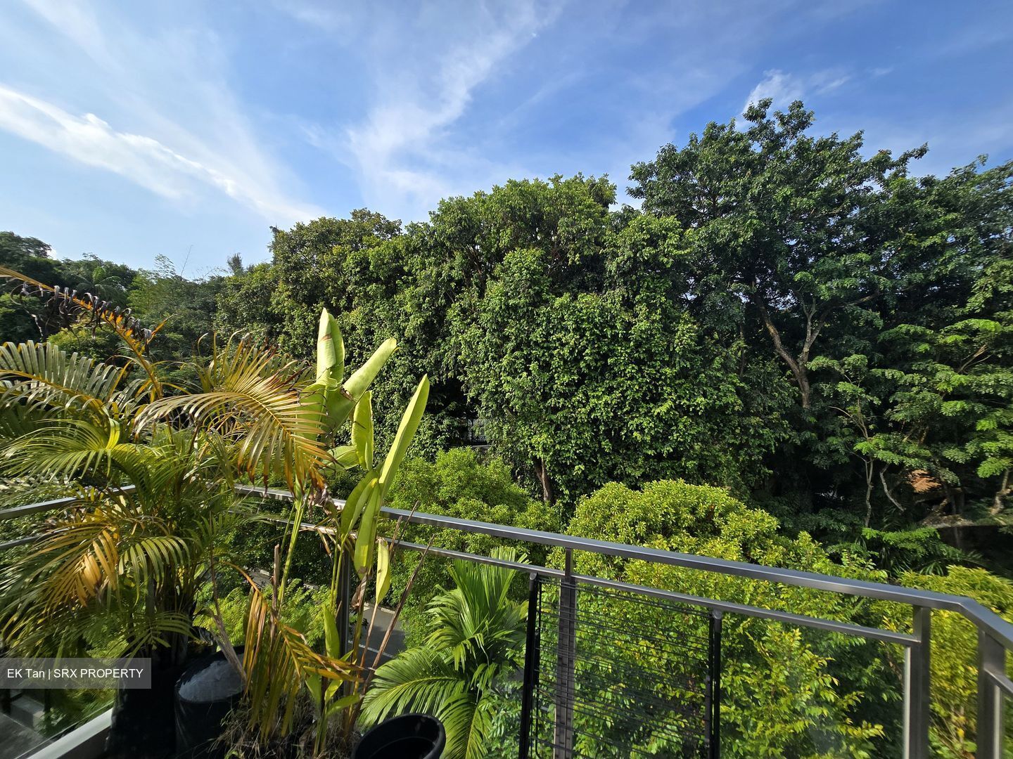 The Foresta @ Mount Faber (D4), Condominium #485962971